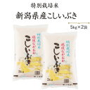 令和6年産 白米特別栽培米新潟県産こしいぶき5kg×2袋【送料無料】(一部地域を除く)