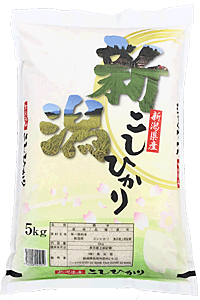 【平成29年産】新潟県産コシヒカリ5kg×2袋【送料無料】(一部地域を除く)【あす楽対応_本州】【あす楽対応_関東】【あす楽対応_四国】