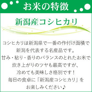 新米！【平成30年産】新潟県産コシヒカリ5kg×2袋【送料無料】(一部地域を除く)【あす楽対応_本州】【あす楽対応_関東】【あす楽対応_四国】