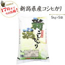 令和3年　白米　25kg 新潟県産コシヒカリ5kg×5袋【送料無料】(一部地域を除く)【あす楽対応_本州】【あす楽対応_関東】【あす楽対応_四国】