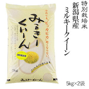 特別栽培米新潟産ミルキークイーン5kg×2袋