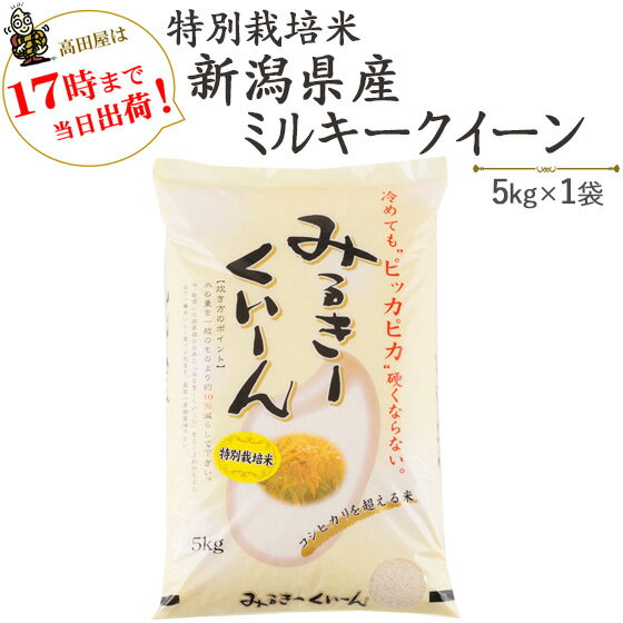 令和5年産特別栽培米新潟産ミルキークイーン5kg 白米【送料無料】(一部地域を除く)【あす楽対応_本州】【あす楽対応_関東】【あす楽対応_四国】