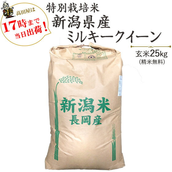 令和5年産 特別栽培米 新潟産ミルキークイーン 玄米25kg/ 白米4.5kg×5袋【送料無料】 【あす楽対応_本州】【あす楽対応_関東】