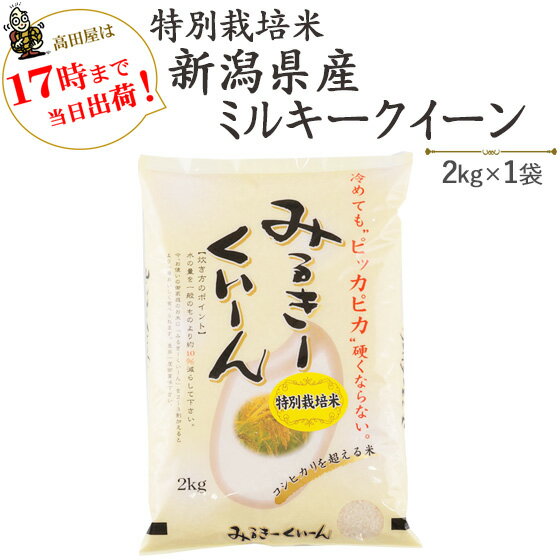 令和5年産特別栽培米新潟産ミルキークイーン2kg※送料無料(一部地域を除く)【あす楽対応_本州】【あす楽対応_関東】【あす楽対応_四国】