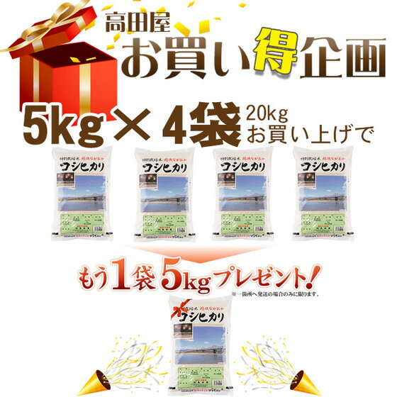 令和5年産≪高田屋お買い得企画≫特別栽培米長岡産コシヒカリ5kg×1袋【送料無料】(一部地域を除く)【あす楽対応_本州】【あす楽対応_関東】【あす楽対応_四国】 2