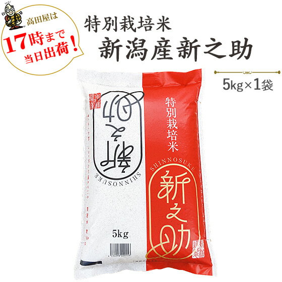 令和3年産 安心・安全【特別栽培米】新潟産「新之助」5kg　≪高田屋お買い得企画≫※送料無料(一部地域を除く)【あす楽対応_本州】【あす楽対応_関東】【あす楽対応_四国】