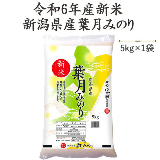 新米！令和6年産「新潟産葉月みのり」5kg白米送料無料(一部地域を除く)のサムネイル