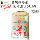 令和5年産津南町ゆきやまと農場限定！特別栽培米魚沼産コシヒカリ玄米25kg/白米4.5kg×5袋送料無料(一部地域を除く)