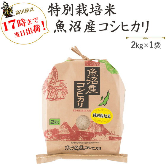 令和5年産津南町ゆきやまと農場限定！特別栽培米魚沼産コシヒカリ2kg【送料無料】(一部地域を除く)【あす楽対応_本州…