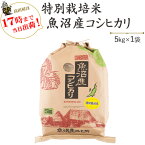 令和5年産津南町ゆきやまと農場限定！特別栽培米魚沼産コシヒカリ5kg【送料無料】(一部地域を除く)【あす楽対応_本州】【あす楽対応_関東】【あす楽対応_四国】