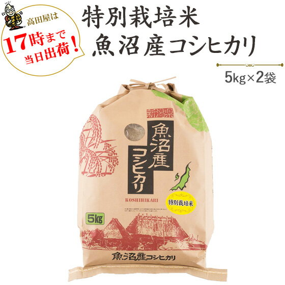 令和5年産津南町ゆきやまと農場限定！特別栽培米魚沼産コシヒカリ5kg×2袋【送料無料】(一部地域を除く)【あす楽対応_…