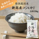 令和5年産　農家さん応援米　白米　10kg　特別栽培米　新潟県産コシヒカリ10kg×1袋　(一部地域を除く)