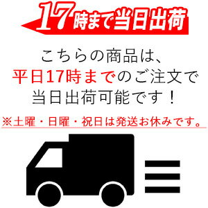 17時までのご注文なら当日発送可能