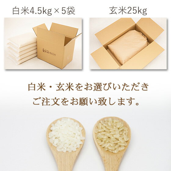 令和5年産 特別栽培米 新潟産ミルキークイーン 玄米25kg/ 白米4.5kg×5袋【送料無料】 【あす楽対応_本州】【あす楽対応_関東】 2