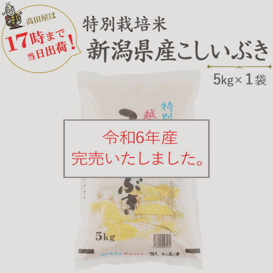 新米　令和5年産　白米特別栽培米新潟県産こしいぶき5kg【送料無料】(一部地域を除く)≪高田屋お買い得企画≫【あす楽対応_本州】【あす楽対応_関東】【あす楽対応_四国】のサムネイル
