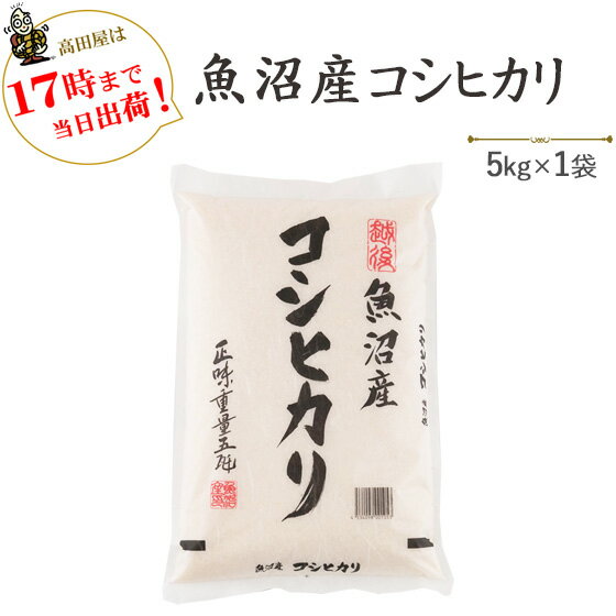 令和5年産魚沼産コシヒカリ5kg 1袋【送料無料】 一部地域を除く 【あす楽対応_本州】【あす楽対応_関東】【あす楽対応_四国】