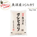 令和5年産魚沼産コシヒカリ5kg×1袋【送料無料】(一部地域を除く)【あす楽対応_本州】【あす楽対応_関東】【あす楽対…