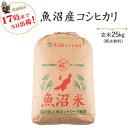 令和5年産魚沼産コシヒカリ玄米25kg / 白米4.5kg×5袋【送料無料】(一部地域を除く)【あす楽対応_本州】【あす楽対応_関東】【あす楽対応_四国】