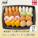 小田口屋「れんこん天入り〜さつま揚げ8彩」詰合せ JSC-25R さつま揚げ 父の日　お中元　鹿児島 指宿 お買得 贈答用 送料無料 つけあげ かまぼこ 本場 お土産 九州 グルメ 鍋 おでん おつまみ 焼酎 練り物