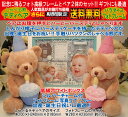 トーキング ベアペア(赤・青)と高級フォトフレーム(ブルー)のセット、出産祝い、出産記念、誕生日プレゼント、誕生日ギフト、送料無料(沖縄と離島を除く)【RCP】(4)