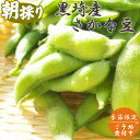 枝豆 黒埼(黒崎) さかな豆 1.5Kg 肴豆 ギフト お取り寄せ おつまみ ビールに