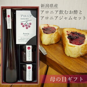 母の日 ギフト アロニア飲むお酢とアロニアジャムセット お中元 包装 本州送料無料