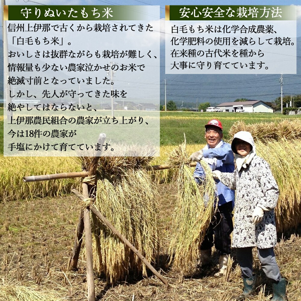 【ふるさと納税】［先行予約］米 にじのきらめき 和歌山県産 5kg（2024年産）［SL29］ | お米 こめ 白米 食品 人気 おすすめ 送料無料