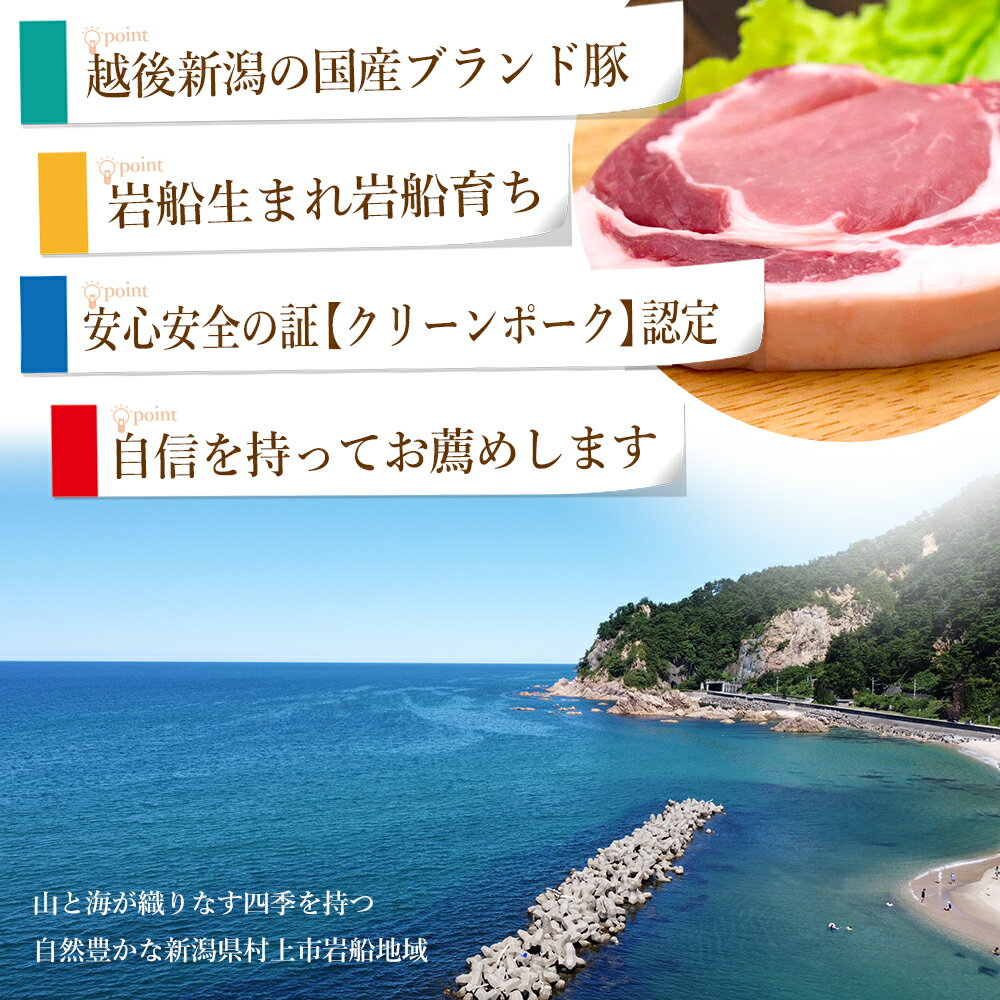 豚肉 岩船豚 ロース 200g×5枚 冷凍 ロースカツ ギフト 国産 新潟ブランド豚 クリーンポーク認定 プレゼント 3