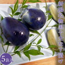 お漬物 黒十全なす漬け 約3-5個入(230g前後)×5袋 新潟県産 十全茄子 一部地域送料無料
