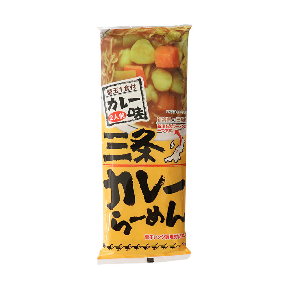 ラーメン 乾麺 三条カレーらーめん 340g×10袋 本州送料無料