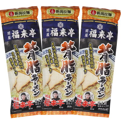 新潟名物専門店 小竹食品 関屋福来亭監修 背脂ラーメン 3袋 メール便 新潟ラーメン 醤油 袋麺 送料無料 ポイント消化