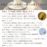 パックご飯日本のごはん120g×4食×12袋入合計48食新潟県産コシヒカリ使用レトルトご飯