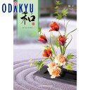 内容：426ページ、2020点【商品特長】 「和」は、様々なギフトシーンでご利用いただけるカタログギフトです。商品点数：約990点（総ページ数：274ページ）※商品価格にはシステム料880円（税込）が含まれています。 【キャンセル・配送情報の訂正について】※ご注文内容に確認が必要な際はご連絡を差し上げます。ご返信いただけない場合、発送遅延や商品手配ができない可能性がございます。※出荷準備の状況により配送情報の変更・訂正がお受けできない場合があります。※ご注文後のキャンセル、ご返品はお受けいたしかねます。【お届けについて】※商品は準備が出来次第発送となります。（通常ご注文から1週間から10日程度となります）※お届け日および時間帯のご指定は承りできません。【ご用途（のし）・梱包について】※のしの種類は下記よりお選びいただけます。その他ののしの種類はお選びいただけません。《お返し・返礼》内祝（5本花結）/内祝（10本結切・結婚内祝用途）/快気祝・御見舞・御見舞御礼（5本結切）/御礼/志（5本結切・香典返用途）・状付/包装のみ（のしなし）《贈り物》御祝（5本花結）/寿（10本結切）/無地（5本花結）/無地（5本結切・仏事用途）/御供/快気祝/御見舞/御見舞御礼/御霊前・御仏前(仏事）/仏事包装のみ（のしなし）/包装のみ（のしなし）※ご依頼主（ご注文者・ご請求先）の住所とお届け先の住所および氏名が完全に同一の場合のみ、ご持参になるための手提袋を商品と一緒に同送いたします。※1ヵ所のお届け先に複数ご注文の場合、1点ずつ別々に包装してお届けいたします。【その他】※当店は商品お届けの際、金額の表示や納品書の同封はございません。
