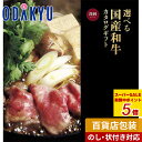 ＼3/11 23:59まで 【P5倍】／ カタログギフト 送料無料 百貨店包装 1万円台 グルメカタログ 〈 選べる国産和牛 〉 溌剌　|　内祝 結婚祝い お返し 香典返し お礼 お祝い ギフト ※7-10日程度でお届け