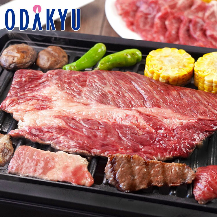 お取り寄せ 産地直送 送料無料 ［ 山晃食品 ］ 黒黒BBQセット 7070072 ｜7-10日程度でのお届け※沖縄・離島へは届不可(直)