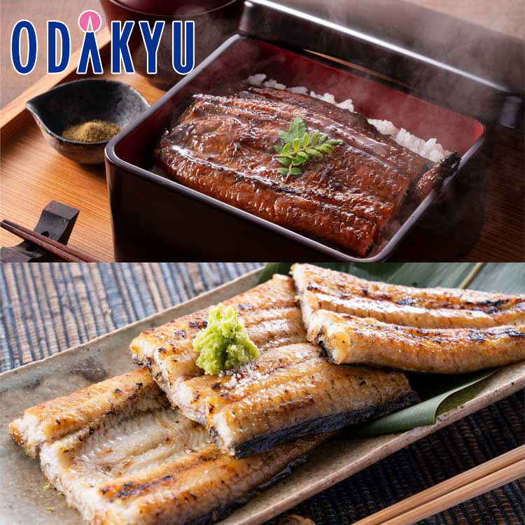 お取り寄せ 産地直送 送料無料 鹿児島［ 薩摩川内鰻 ］ 鹿児島県産 うなぎ蒲焼白焼セット ｜7-10日程度でのお届け※沖縄・離島へは届不可(直)