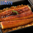 お取り寄せ 産地直送 送料無料 浜名湖 うなぎ蒲焼 2袋 Q160-2R2 |7-10日程度でのお届け※沖縄・離島へは届不可(直)