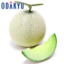 お取り寄せ ごちそう 産地直送 送料無料 静岡県産 クラウンマスクメロン 白 |7-10日程度でのお届け※北海道・四国・九州・沖縄・離島へは届不可(直)
