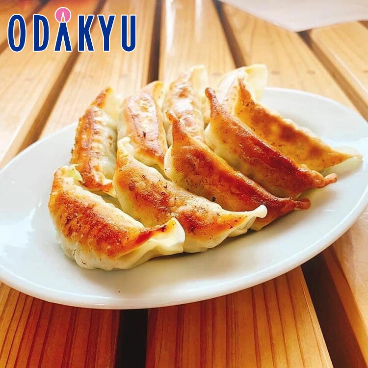 お取り寄せ ごちそう 産地直送 送料無料 ［ 屋台骨 ］ ラーメン・餃子セット ｜7-10日程度での