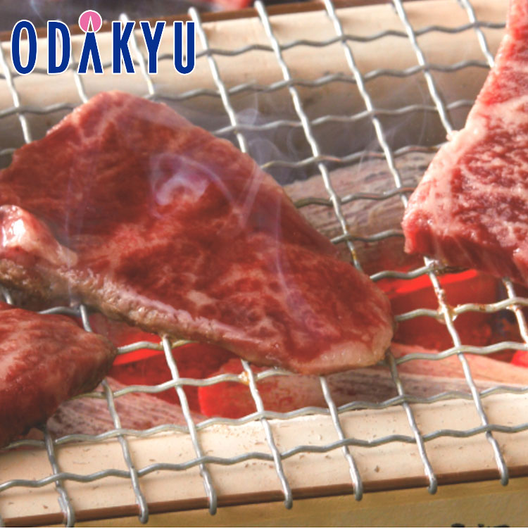 お取り寄せ ごちそう 産地直送 送料無料 ［ 大分 湯布院ガーデンホテル ］ 豊後牛 焼肉用 SYM