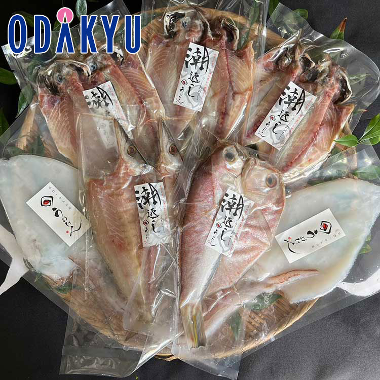 お取り寄せ 魚 産地直送 送料無料 ［ 魚健 ］ 潮返し干物セット ｜7-10日程度でのお届け※沖縄・離島へは届不可(直)