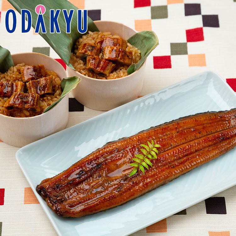お取り寄せ ごちそう 鰻 送料無料 うなぎ問屋の蒲焼き・おこわ詰め合わせ 8480016 D311 
