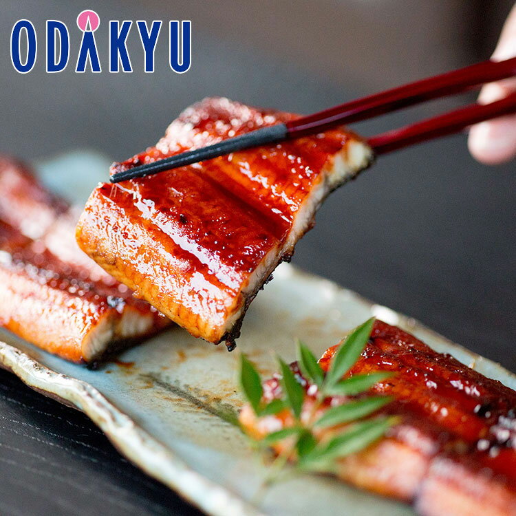 お取り寄せ グルメ 産地直送 送料無料 ［ 志布志市観光特産品協会 ］ 鹿児島県産鰻の蒲焼 2尾セッ