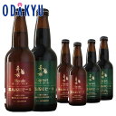 お取り寄せ ごちそう 産地直送 送料無料 リカー 霧島高原ビール ブロンド・ガーネット 6本セット |7-10日程度でのお届け※沖縄・離島へは届不可(直)