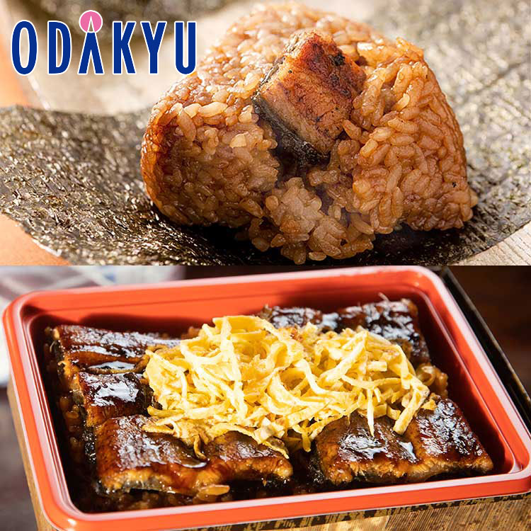 お取り寄せ ごちそう 産地直送 送料無料 ［ 皿屋福柳 ］ うなむす 3セット ＋ 鰻のせいろむし弁