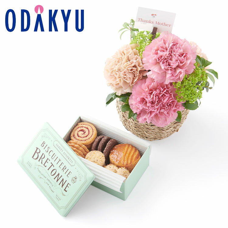 母の日 花 2025 母の日限定アレンジメント ＆ ［ ブルトンヌ ］ クッキー缶 セット ｜5/8-11のあいだに順次お届け※北海道・四国・九州・沖縄・離島へは届不可(MD)のサムネイル