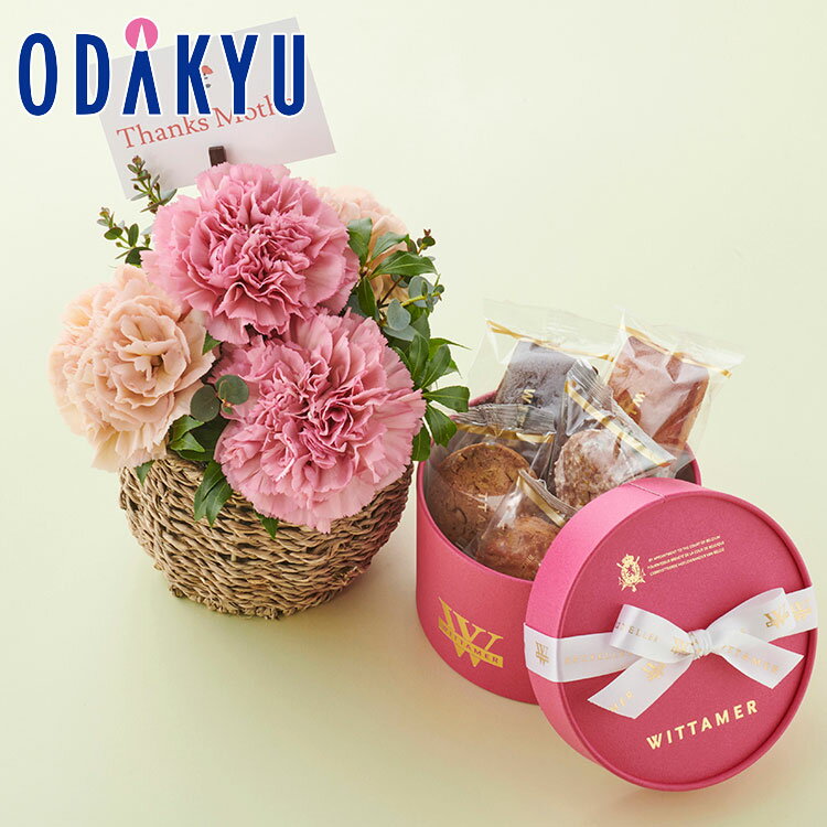 母の日 カーネーション ［ ヴィタメール ］ アプレ・デリス 5個入 × 母の日限定アレンジメント 【5/9-12のあいだに順次お届け】※離島を除く本州のみお届けのサムネイル