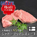 母の日 ギフト 大和榛原牛シャトーブリアン 150g2枚（母の日掛け紙仕上） ※北海道・沖縄・離島へは届不可