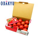 トマト 送料無料 お買い得♪ 夏トクトマト! アメーラトマト |6月下旬以降のお届け※沖縄・離島へは届不可(直)