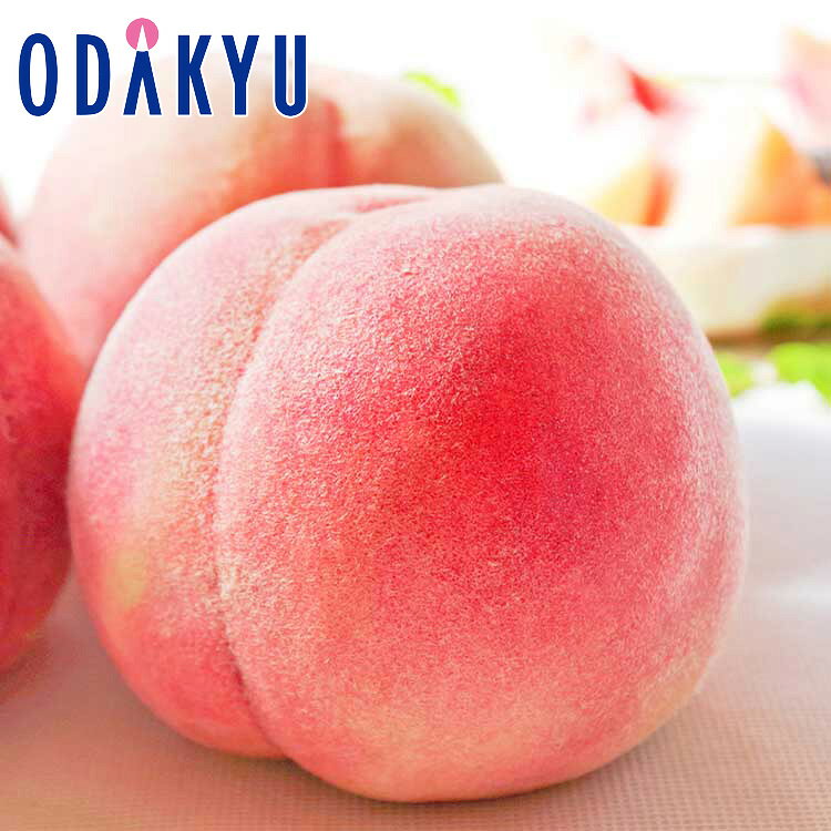 もも 送料無料 山梨県産 白鳳 8〜9玉 青秀以上 約2.5kg ｜6月下旬以降のお届け※沖縄・離島へは届不可(直)